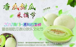 网红大咖和吃瓜群众,揭秘网络舆论场的风云变幻