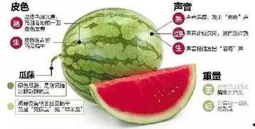 武都网红 吃瓜群微信