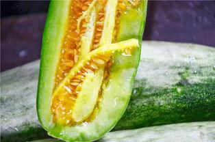 网红瓜吃瓜,揭秘娱乐圈幕后真相，吃瓜群众狂欢盛宴