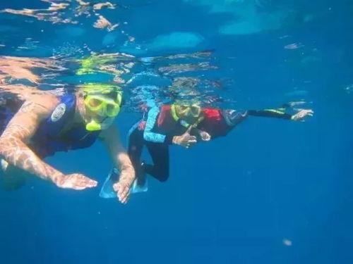 游泳网红吃瓜视频大全集,揭秘幕后真相