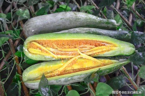 网红张千慧吃瓜视频,揭秘网红圈幕后故事