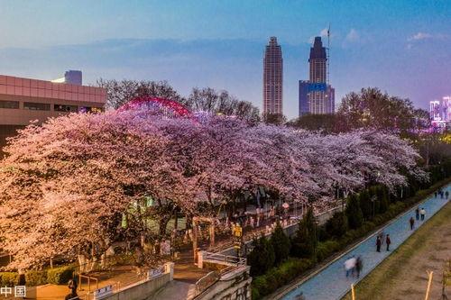 抖音网红吃瓜入口在哪看,一探究竟的观看指南