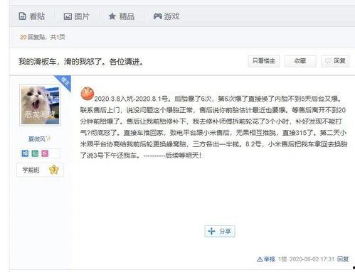 吃瓜被网暴小说后续