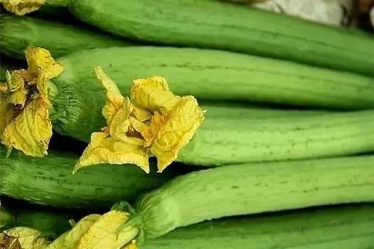 地瓜网吃瓜会员怎么退费,地瓜网吃瓜会员退费攻略