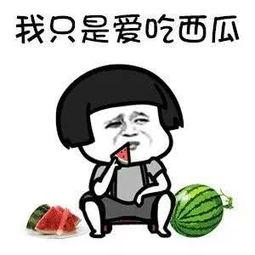 网红圈吃瓜好像get了