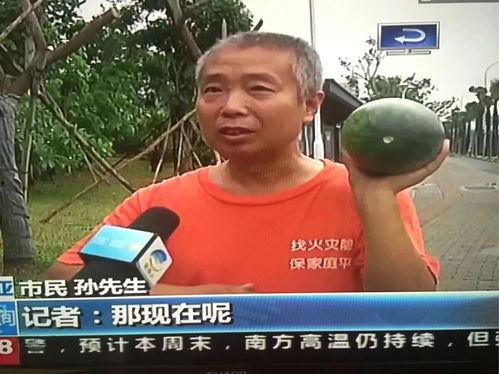 吃瓜网热门事件 曹县,吃瓜网热议事件背后的真相与反思