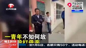 吃瓜视频网红打架事件,网络暴力与道德沦丧的警示