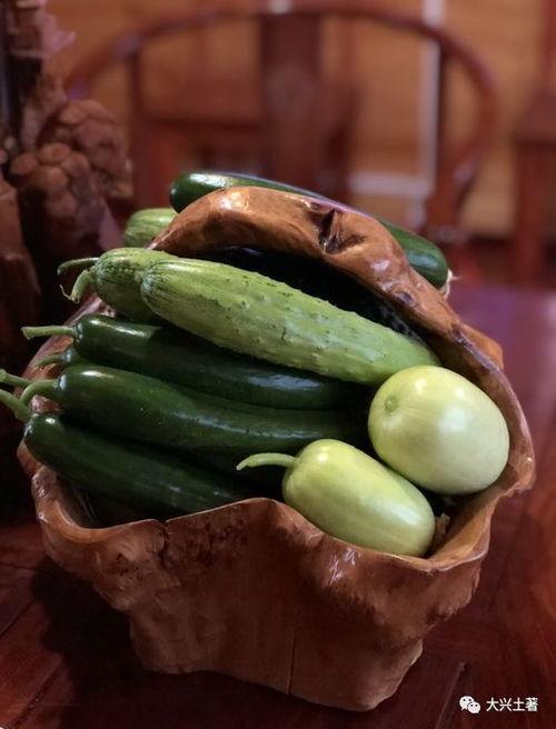 吃日本瓜的网红,口感揭秘引热议！