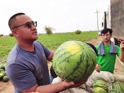 网曝吃瓜正能量图片高清,高清画面传递社会温暖