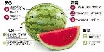 十堰网红吃瓜群微信,揭秘网络社交圈的趣味与争议