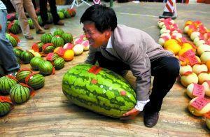 吃瓜网每日大赛入口