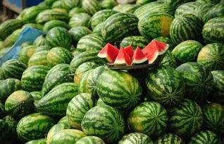 黑料吃黑瓜网莱芜