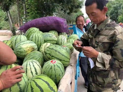 金昌网红吃瓜事件