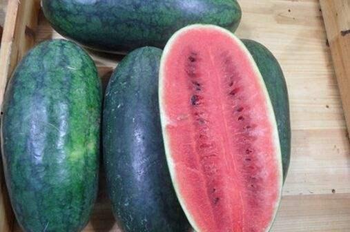 吃黑瓜网,揭秘美食世界的秘密花园