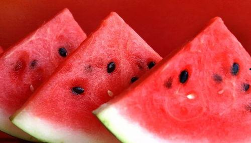 网红吃瓜每日大赛,一场全民参与的娱乐盛宴